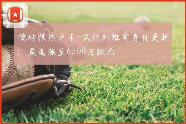 德转预热卢卡-武什科维奇身价更新：最高涨至6500万欧元