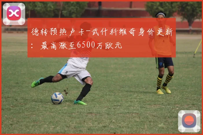 德转预热卢卡-武什科维奇身价更新：最高涨至6500万欧元