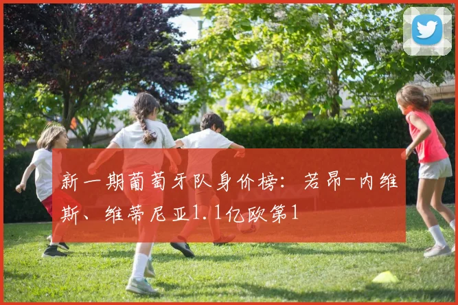 新一期葡萄牙队身价榜：若昂-内维斯、维蒂尼亚1.1亿欧第1